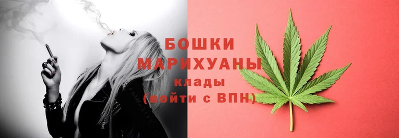 купить наркотик  Люберцы  сайты даркнета Telegram  Канабис Ganja 